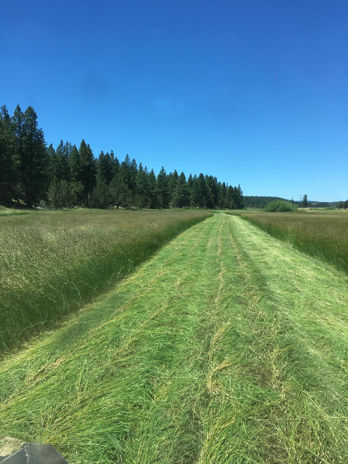 Mission Ranch