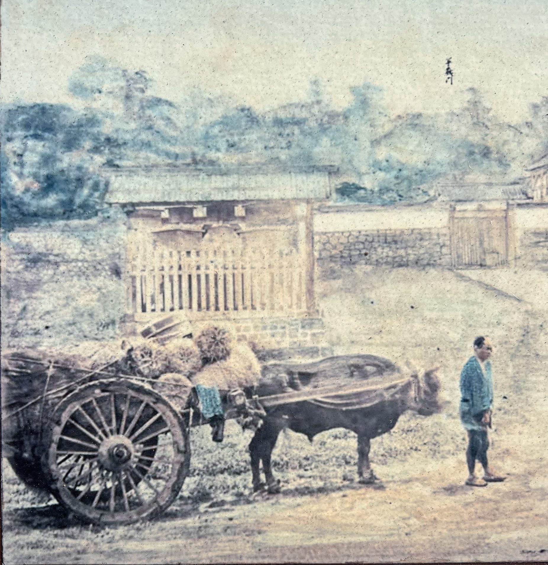Wagyu History